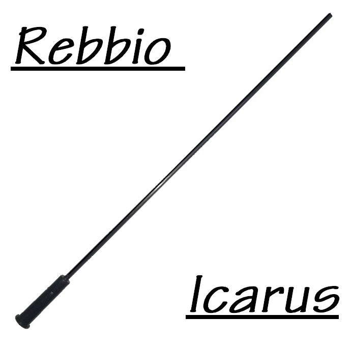 REBBIO PER ICARUS