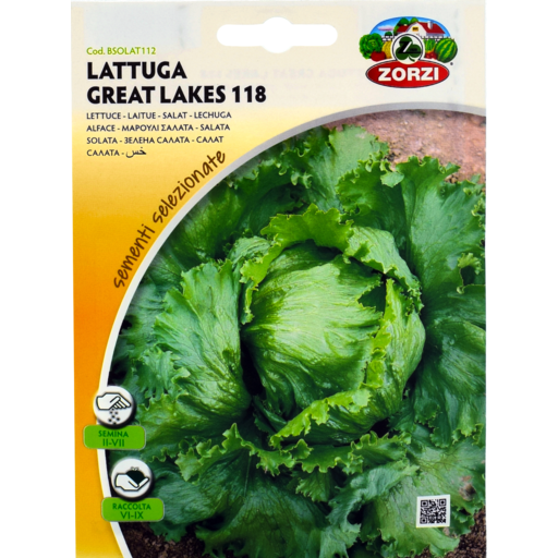 SEMI LATTUGA GREAT LAKES ZORZI