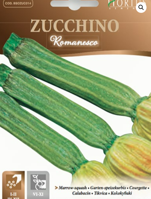 ZUCCHINO ROMANESCO HORTUS