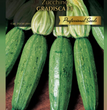 ZUCCHINO GRADISCA F1 PRO HORTUS
