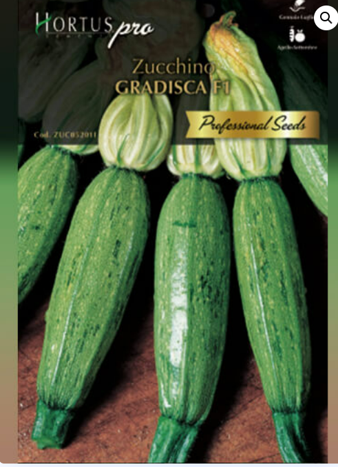 ZUCCHINO GRADISCA F1 PRO HORTUS