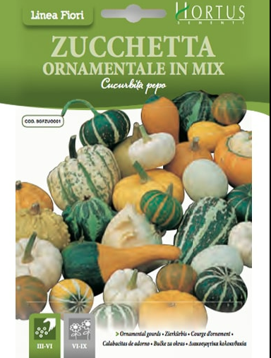 ZUCCHETTA ORNAMENTALE IN MIX HORTUS