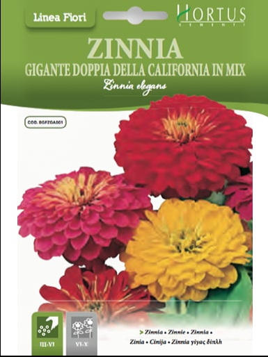 ZINNIA GIGANTE DELLA CALIFORNIA IN MIX HORTUS