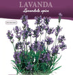 LAVANDA HORTUS