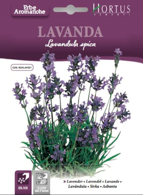 LAVANDA HORTUS