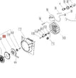 AVVOLGIFUNE PER MOTOSEGA 600 SX SHINDAIWA