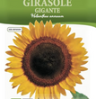 GIRASOLE GIGANTE HORTUS