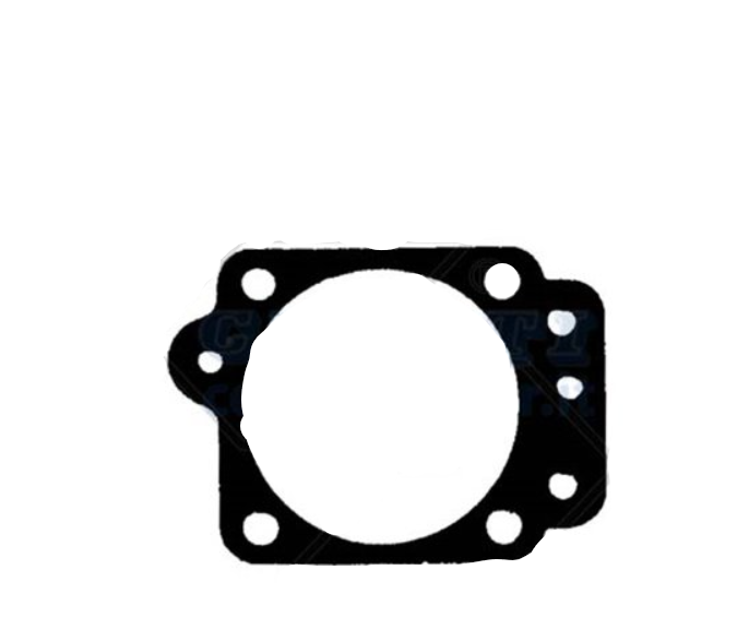 GUARNIZIONE MEMBRANA WALBRO 92-359-8