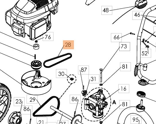 Cinghiaggio per sfalciatutto WB51VB6 Oleomac