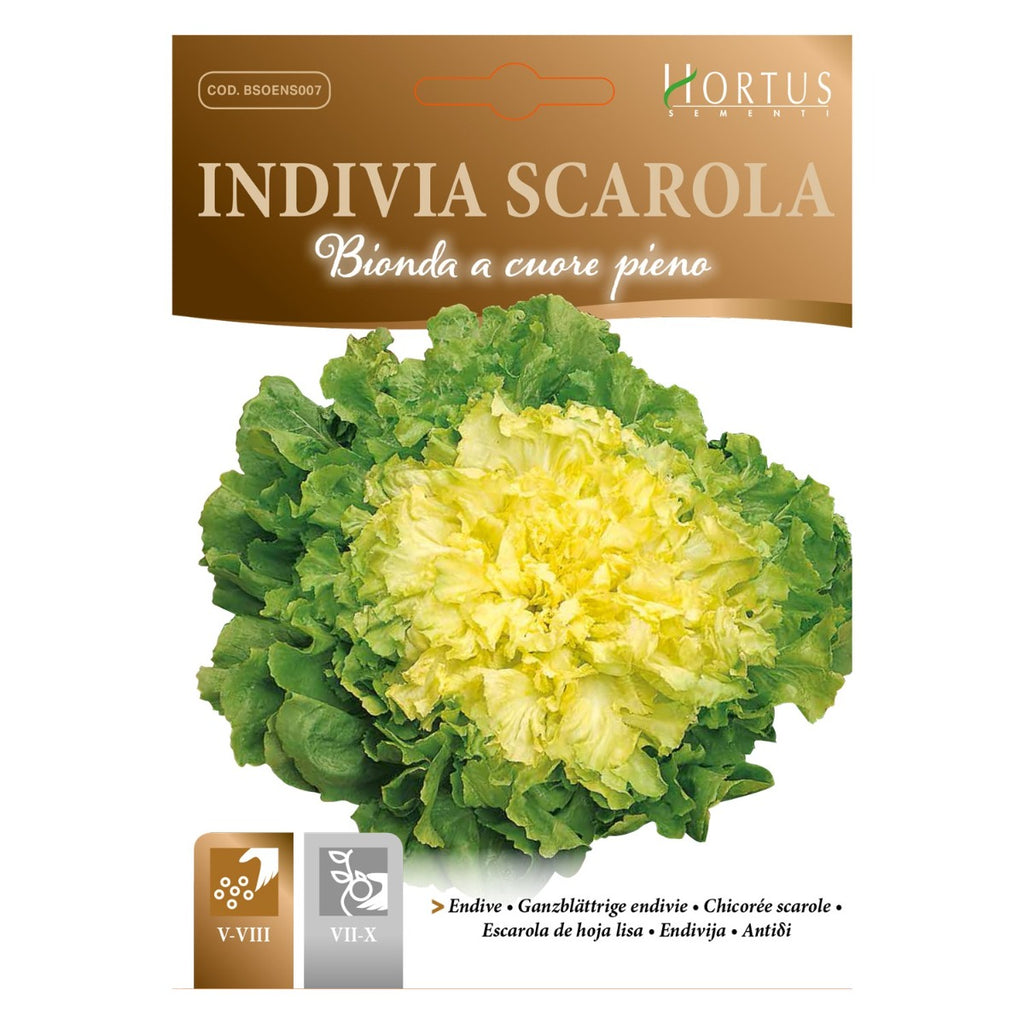 INDIVIA SCAROLA BIONDA A CUORE PIENO HORTUS