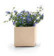 VASO KEBE QUADRO GREENER CM.40 CON RISERVA D'ACQUA BEIGE RUOTE DUNE