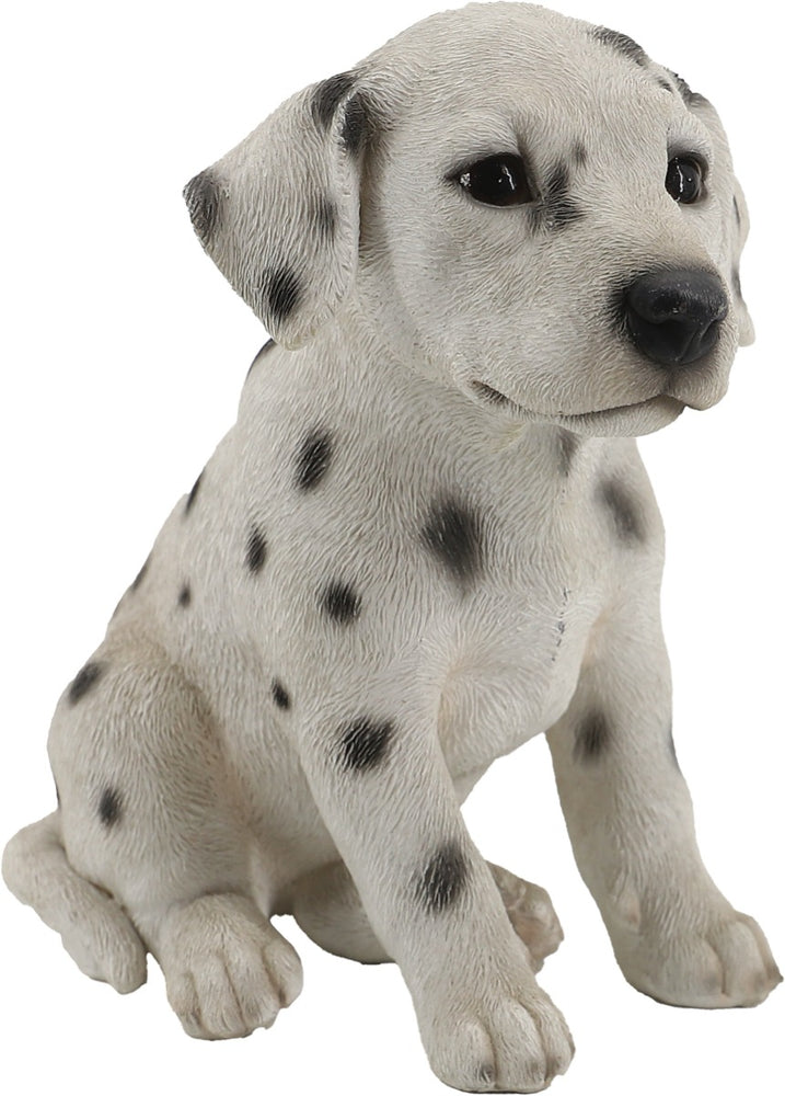 CANE DADO CM.18 ANTICO MESTIERE