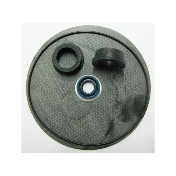 KIT GUARNIZIONI RICAMBIO PER POMPA ROVER BE 30/35