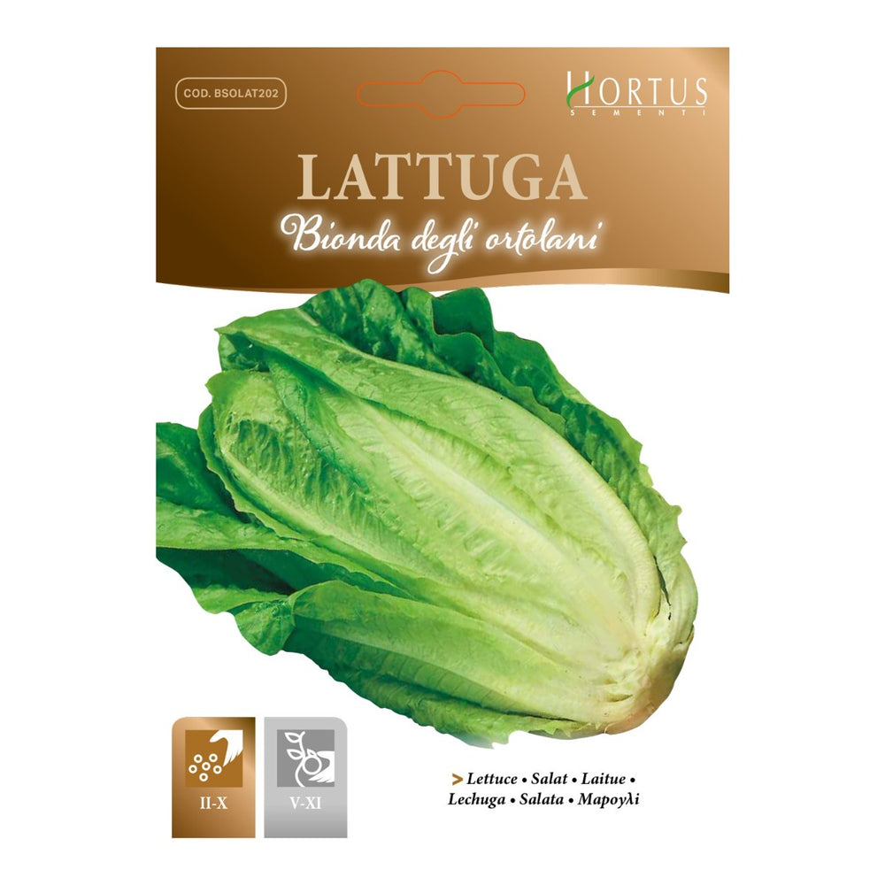 LATTUGA BIONDA DEGLI ORTOLANI