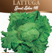 LATTUGA GREAT LAKES 118