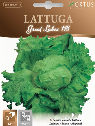 LATTUGA GREAT LAKES 118