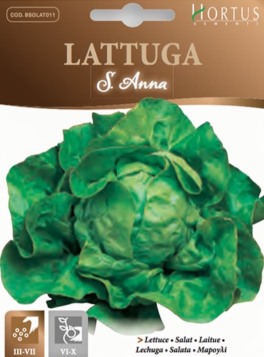 SEMI LATTUGA SANT'ANNA