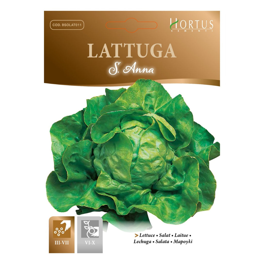 SEMI LATTUGA S.ANNA ZORZI