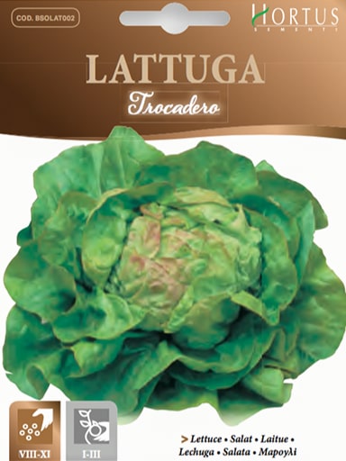 SEMI LATTUGA TROCADERO