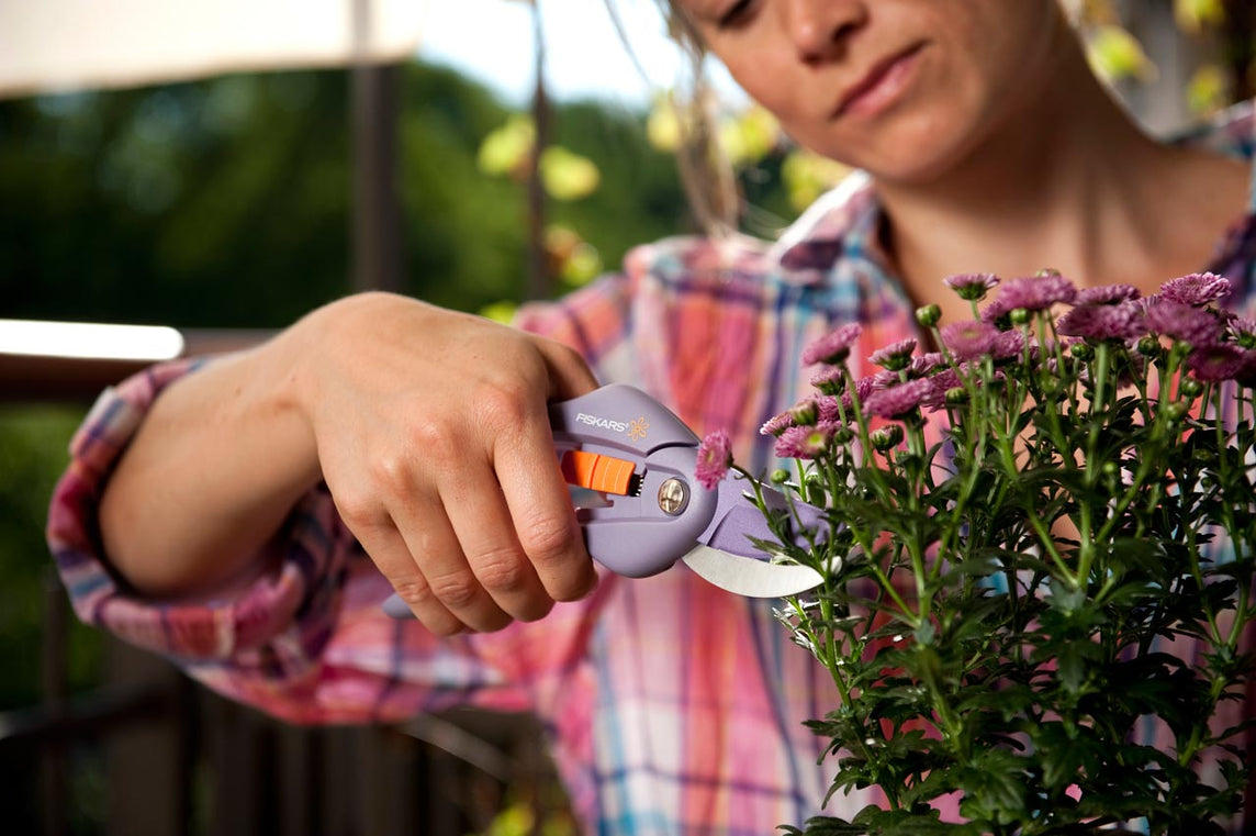 FORBICE VIGNA LILLA P25 FISKARS