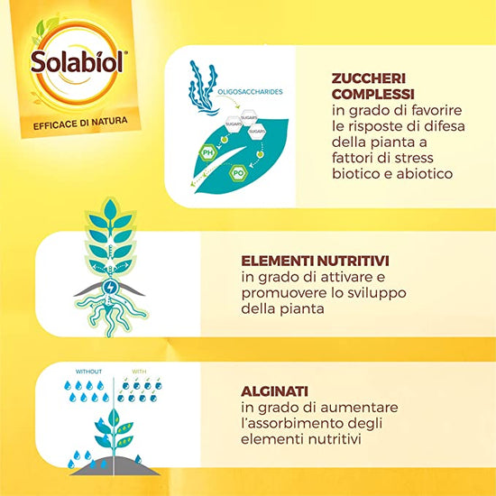 COMPOSIZIONE 