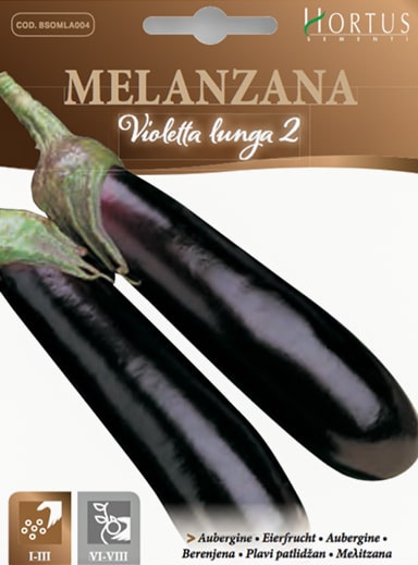 MELANZANA VIOLETTA LUNGA 2