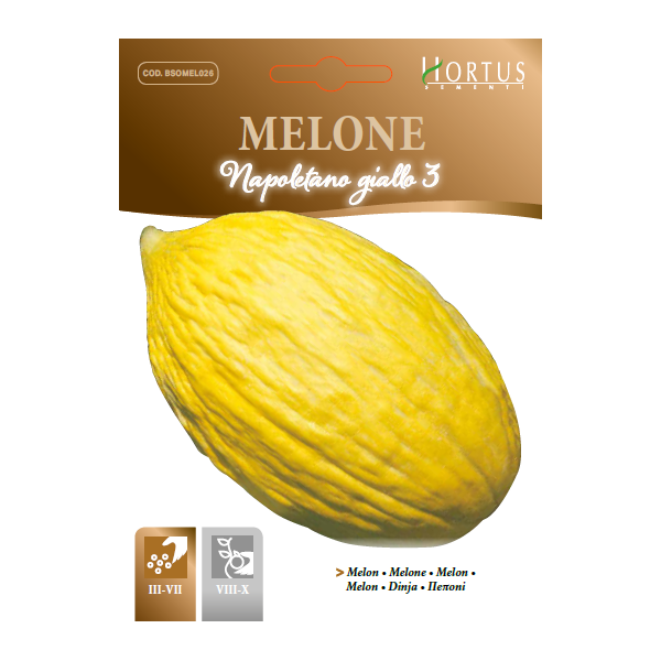 MELONE NAPOLETANO GIALLO 3