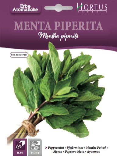 SEMI MENTA PIPERITA