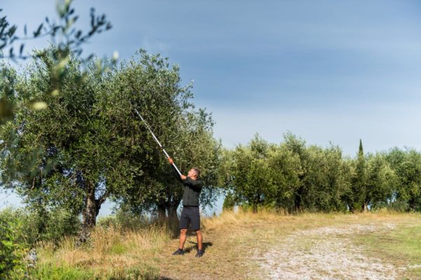 FORBICE AD ASTA TELESCOPICA 170-280 CM DIAM.TAGLIO 35 MM STOCKER