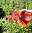 FORBICE A CRICCHETTO CM 17 IN FRIBRA DI VETRO STOCKER