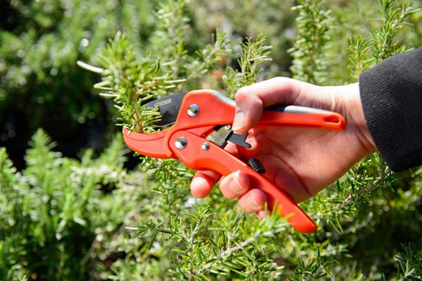 FORBICE A CRICCHETTO CM 17 IN FRIBRA DI VETRO STOCKER