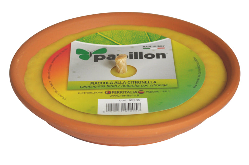CITRONELLA IN COCCIO 140 MM PAPILLON H2.5