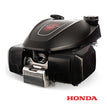 Motore gcv 200 Honda BLUE BIRD