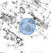 MOTORE BRUSHLESS+SPINA+PIGNONE PER T-REX 160-240+250-300 CAMPAGNOLA