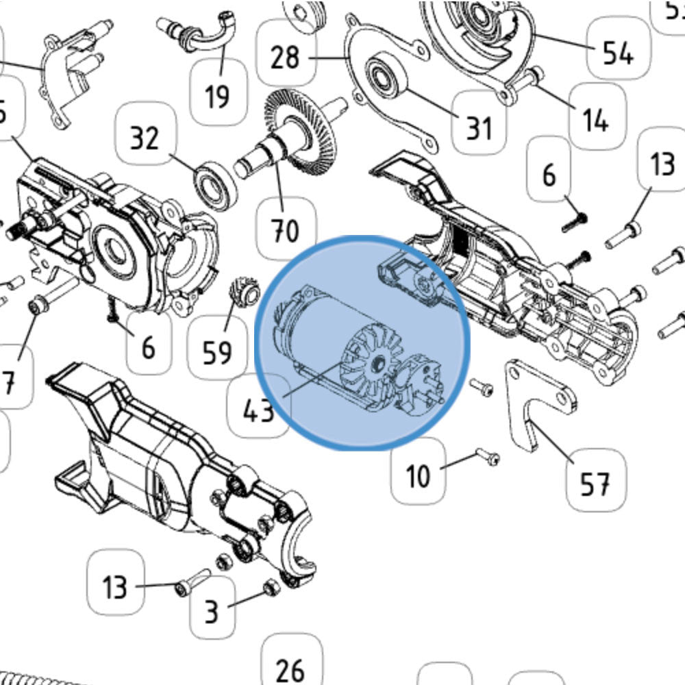 MOTORE BRUSHLESS+SPINA+PIGNONE PER T-REX 160-240+250-300 CAMPAGNOLA