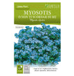 MYOSOTIS O NON TI SCORDAR DI ME
