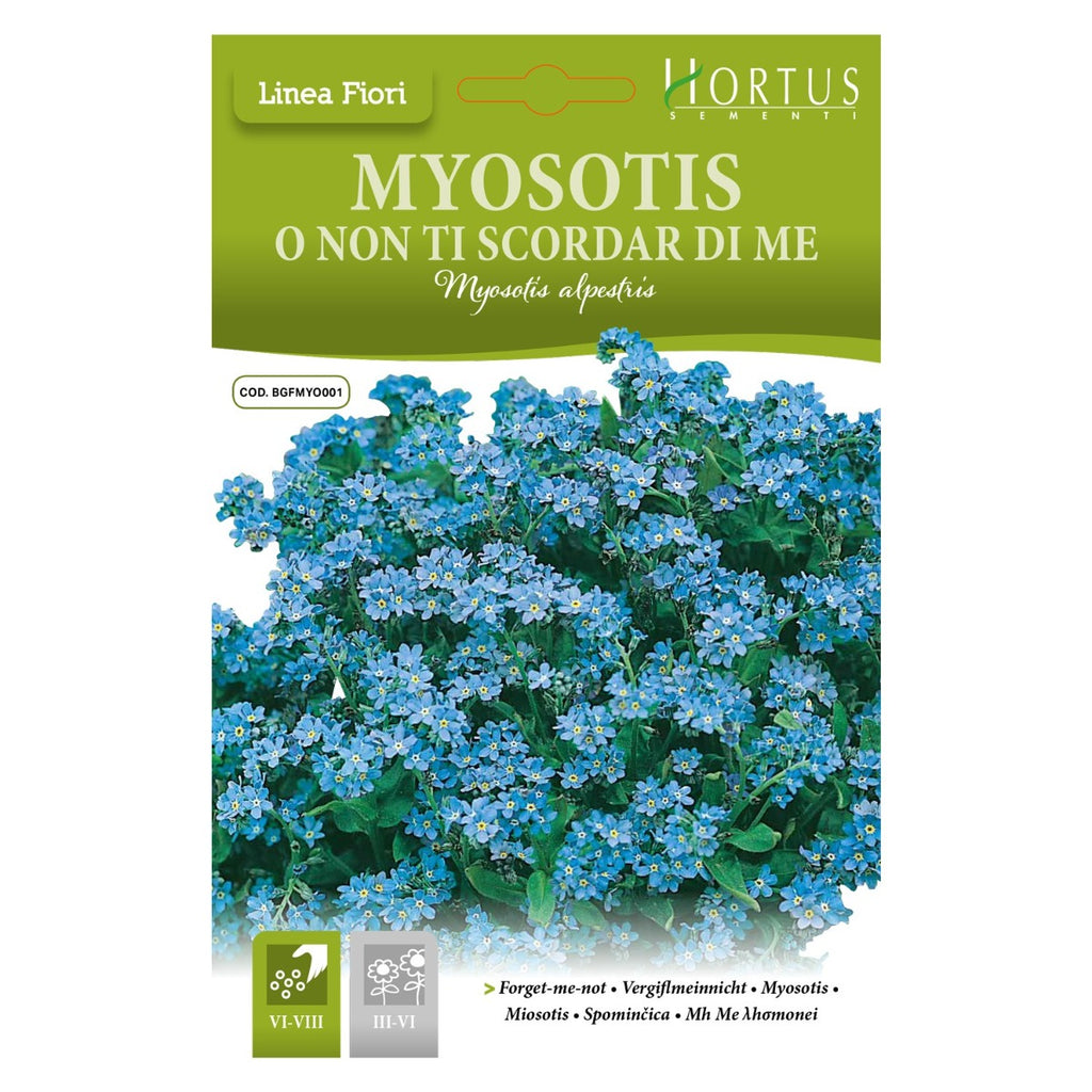 MYOSOTIS O NON TI SCORDAR DI ME