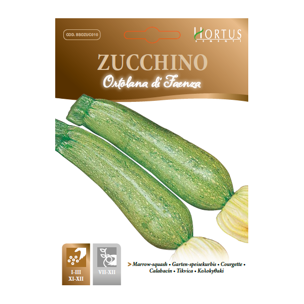 ZUCCHINO ORTOLANA DI FAENZA HORTUS GR.5 BUSTA