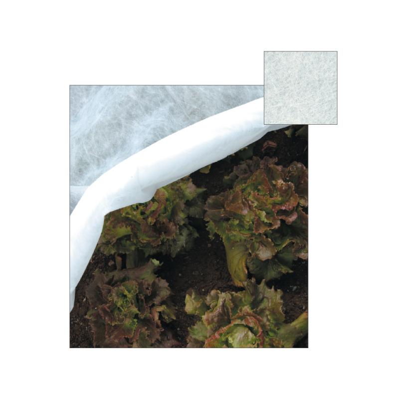 TELO PROTEZIONE ORTAGGI TNT H2X5MT PAPILLON