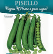 PISELLO PROGRESS N°9(NANO A GRANO RUGOSO)