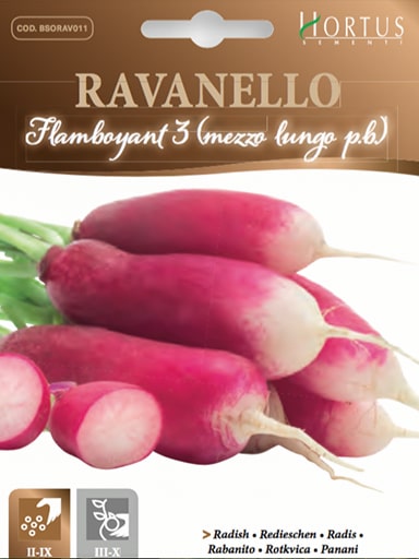 RAVANELLO FLAMBOYANT 3 (MEZZO LUNGO P.B.)