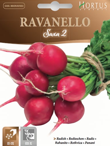 RAVANELLO SAXA 2