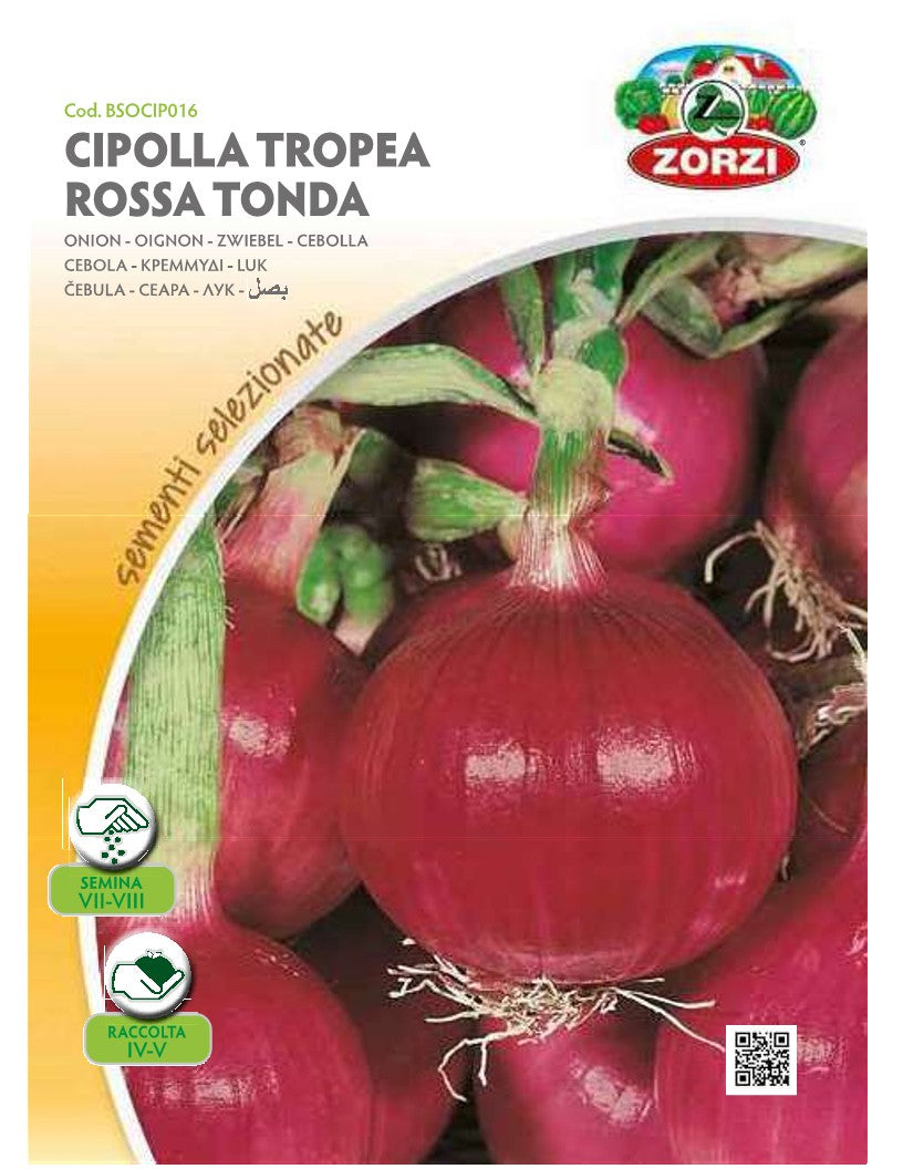 SEMI CIPOLLA TROPEA ROSSA TONDA