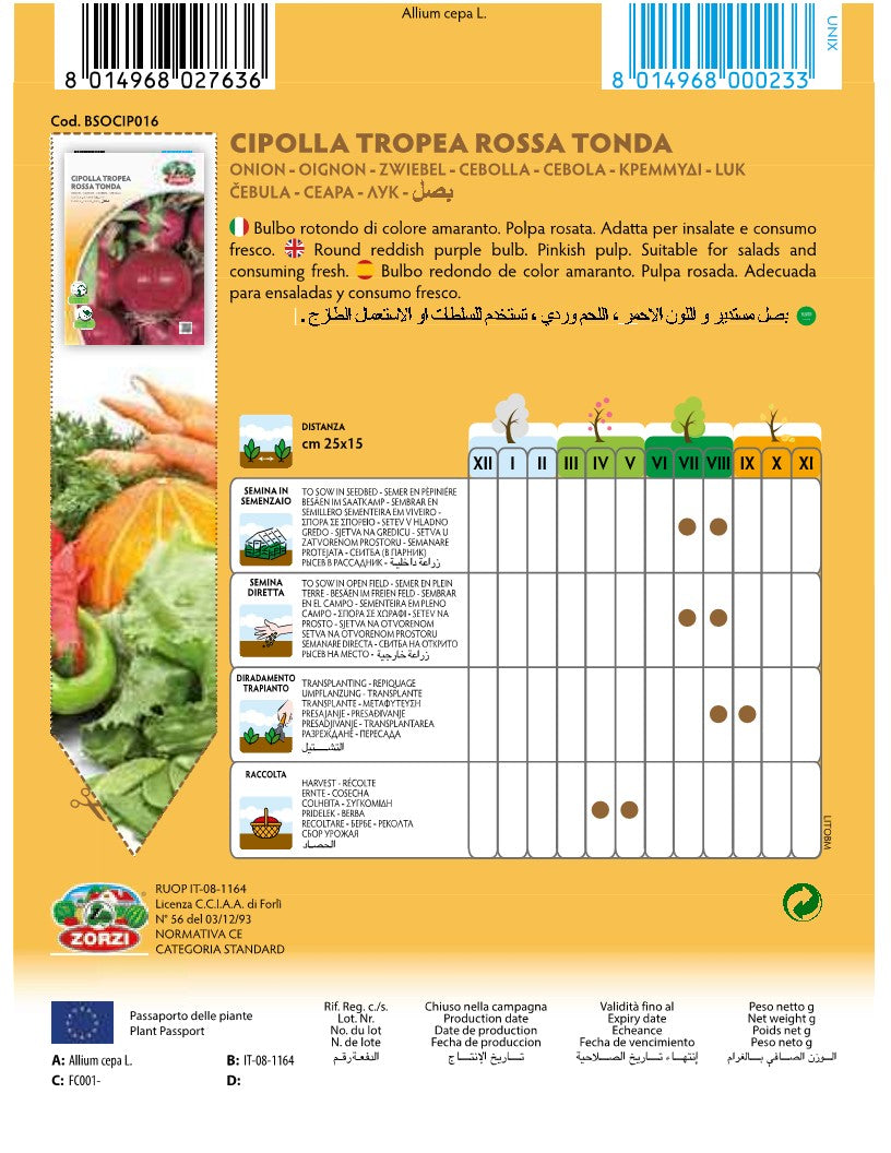 SEMI CIPOLLA TROPEA ROSSA TONDA