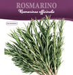ROSMARINO