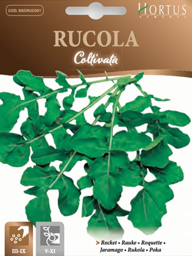 RUCOLA COLTIVATA