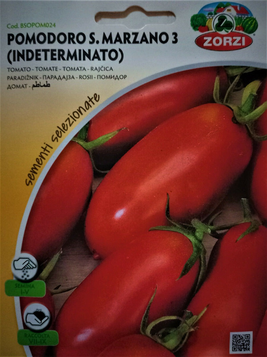 SEMI POMODORO SAN MARZANO 3(INDETERMINATO) ZORZI