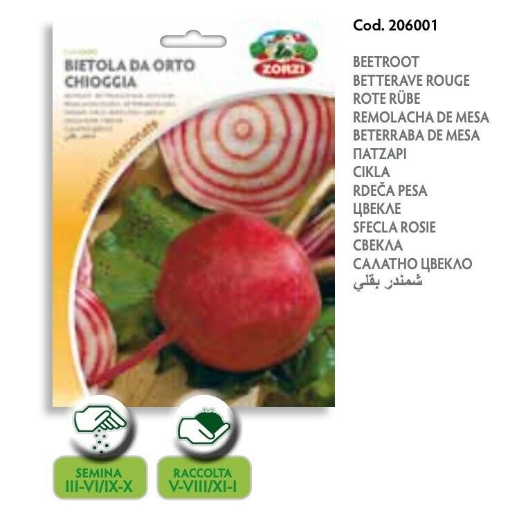 SEMI BIETOLA DA ORTO DI CHIOGGIA ZORZI