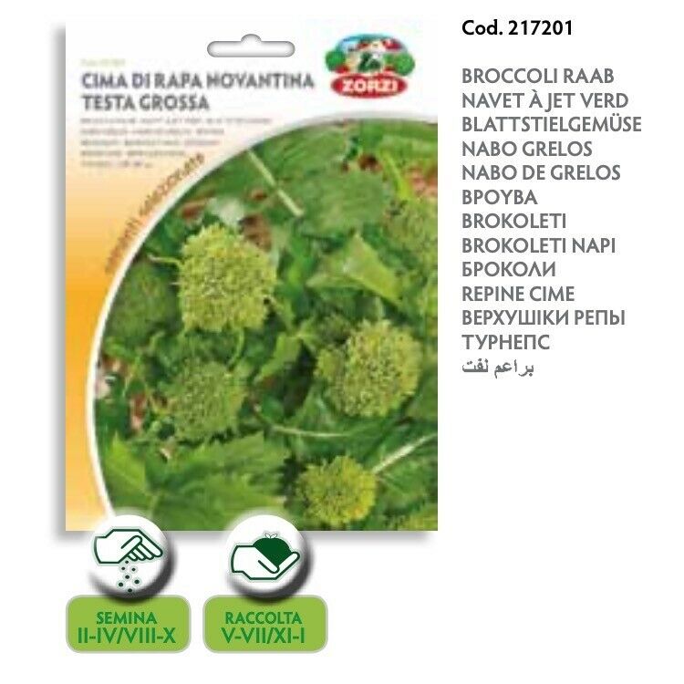 SEMI CIMA DI RAPA NOVANTINA TESTA GROSSA ZORZI