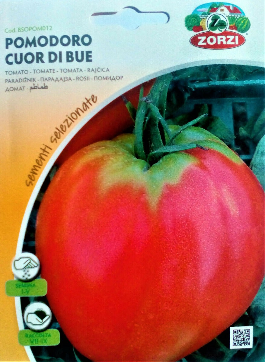 SEMI POMODORO CUOR DI BUE ZORZI
